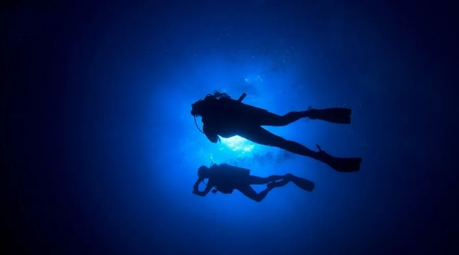 Buceo en las aguas de Estonia: descubre la vida marina