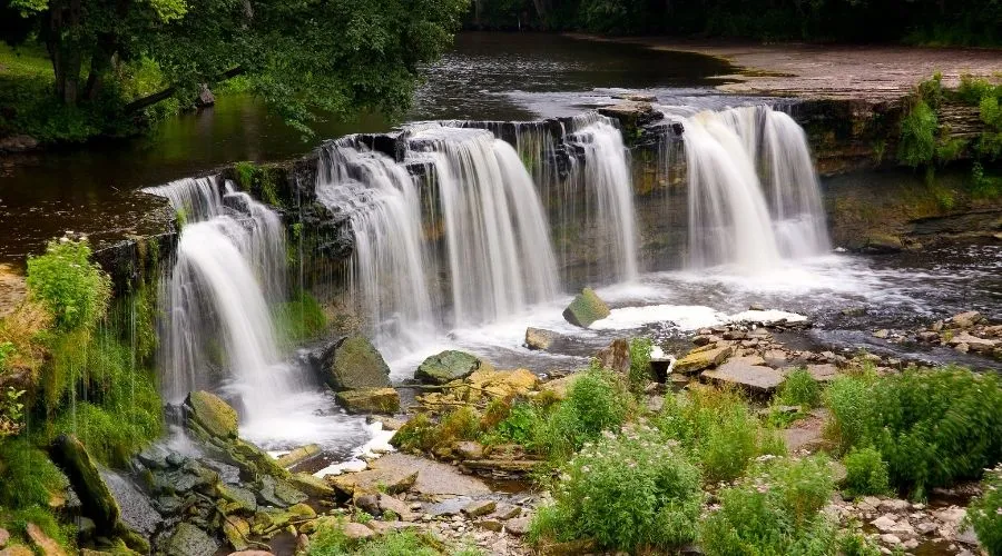 Cómo disfrutar de la naturaleza en Estonia
