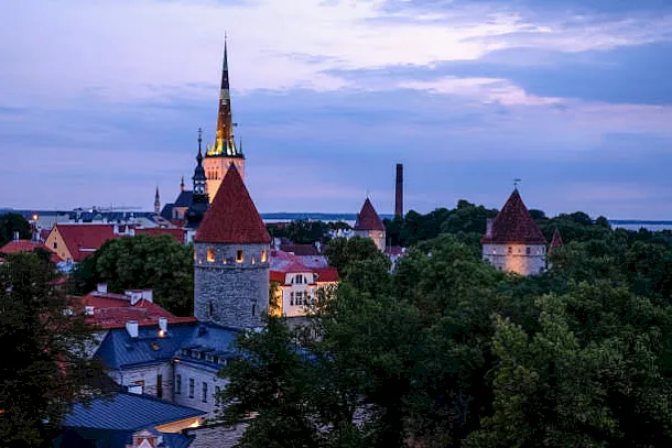 Especies de focas en Estonia