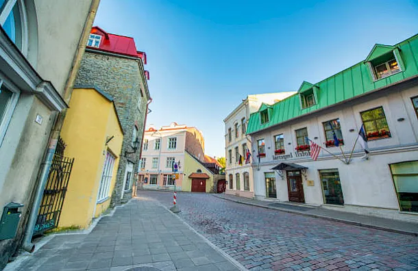 El papel de los festivales de la canción El papel de los festivales de la canción