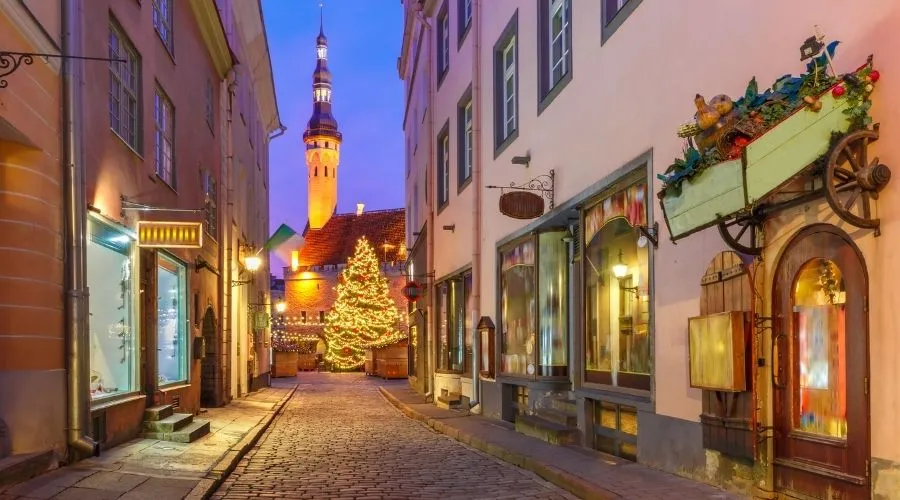 Senderismo nocturno en Estonia: vive la naturaleza de noche 1 Senderismo nocturno en Estonia: vive la naturaleza de noche